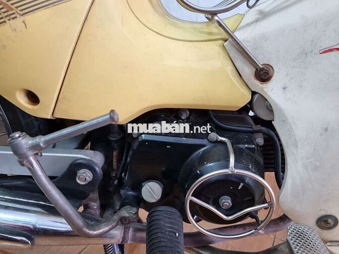 cub 59cc rất đẹp 