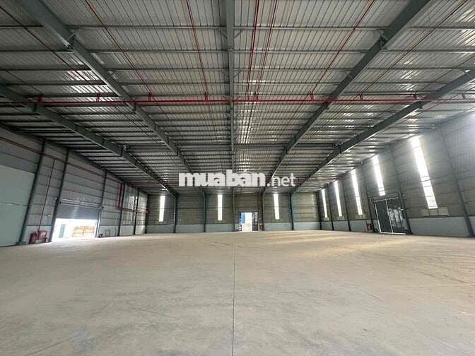 🔴 BÁN CHO THUÊ KCN LONG AN CHỦ TRƯƠNG PHÂN BÓN XI MẠ HÓA CHẤT