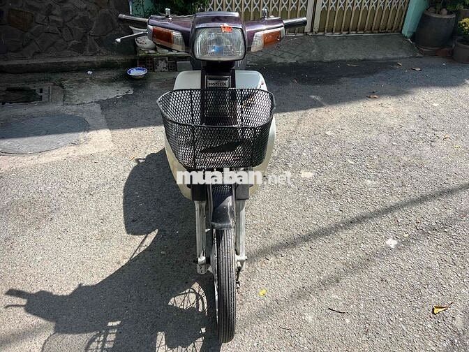 Honda Dream Trắng, Nâu Xe số