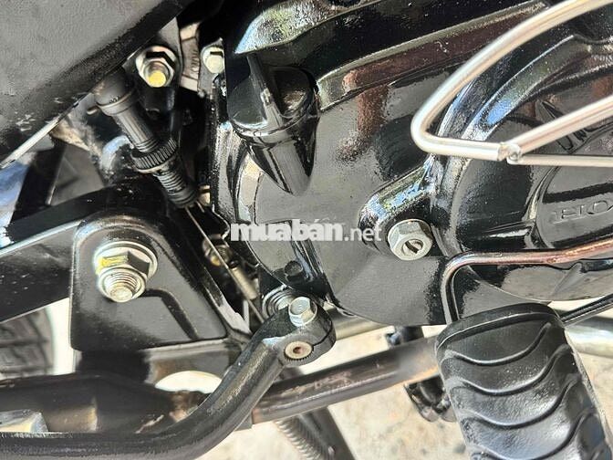 Honda Wave Alpha 110 Xanh Zin