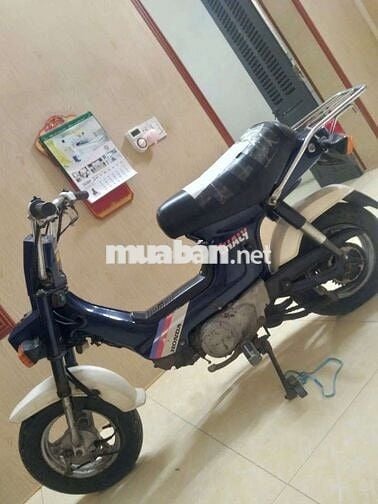 Honda Chaly 1986 Xanh Hà Nội