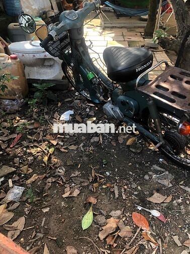 Honda Cub Xanh