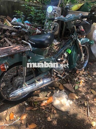 Honda Cub Xanh