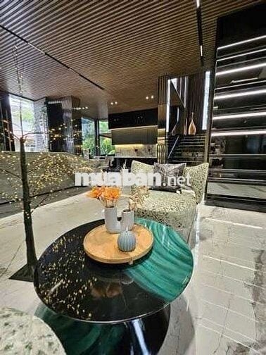 Cho Thuê  Biệt Thự Đường Hưng Thái 2 Phú Mỹ Hưng Quận 7 nhà 2 MT