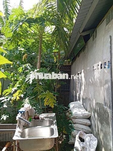 Cho thuê nhà 40m2 2,5trd hẻm 2056 HTP, Nhà Bè, TPHCM