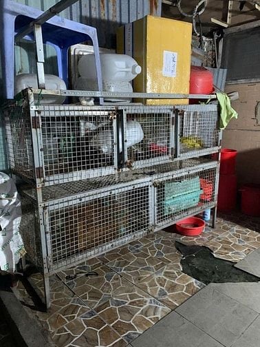 🍻 SANG LẠI TOÀN BỘ ĐỒ QUÁN NHẬU Tạ Quang Bửu, Quận 8, TP.HCM.
