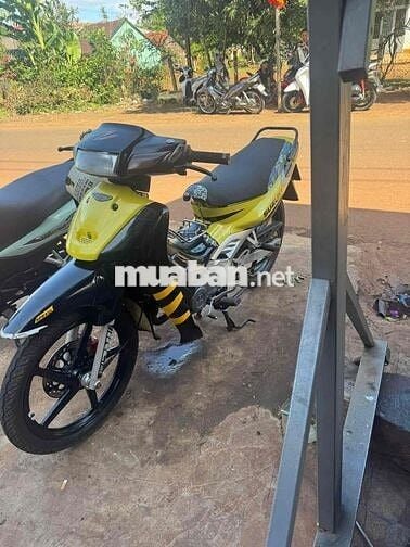 Suzuki Xipo Vàng đen