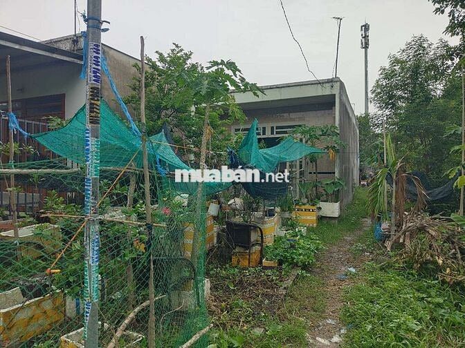 Chính chủ bán diện tích 233m2, 100m2 thổ cư 2tỷ4 thương lượng