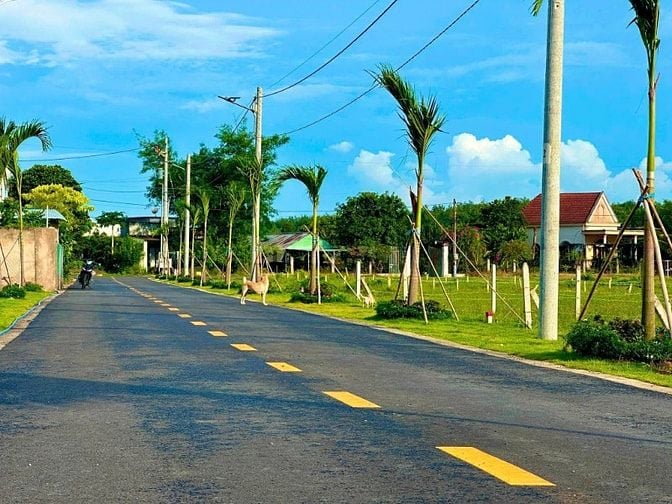 ĐẤT ĐẸP GIÁ RẺ MINH THẠNH – CHỈ 145 TR CÓ NGAY ĐẤT NỀN 225M² (100M² TH