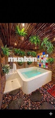 Cho thuê villa mini 3 phòng ngủ khu An Thượng
- DT đất: 110m2