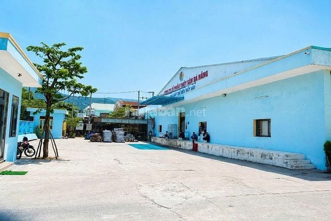 CHO THUÊ MẶT BẰNG 2.400m² – VỊ TRÍ CHIẾN LƯỢC TẠI TRUNG TÂM QUẬN SƠN T