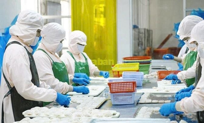 CHO THUÊ MẶT BẰNG 2.400m² – VỊ TRÍ CHIẾN LƯỢC TẠI TRUNG TÂM QUẬN SƠN T
