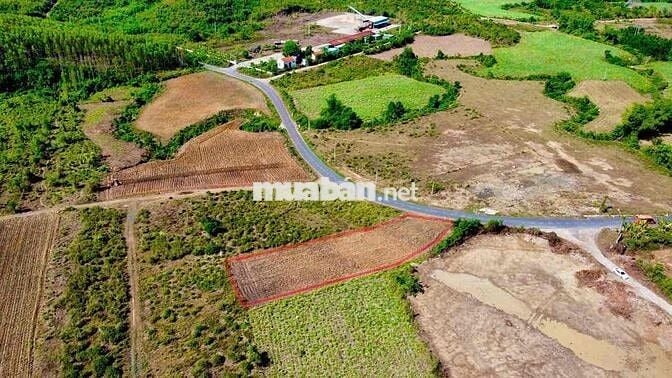 🌟 Bán đất Sông Cầu Khánh Vĩnh  ✔️ Diện tích 1587m2 ( ngang 15 met ) ✔️