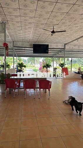 Tuyển người giúp việc căn tin bao ăn ở