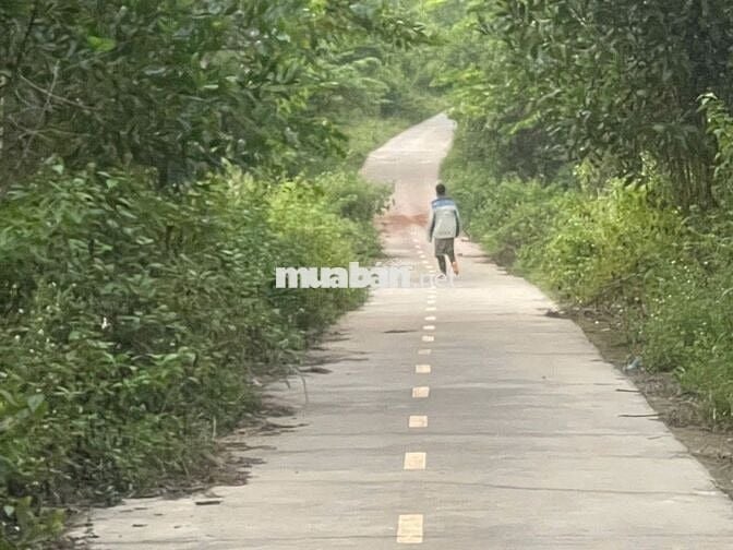 BÁN LÔ ĐẤT Ở TẠI NÔNG THÔN,DÂN CƯ ĐÔNG ĐÚC,CÁCH QLO 20 KHOẢNG 800M