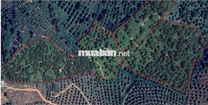 Chính chủ chuyển hướng kinh doanh cần bán