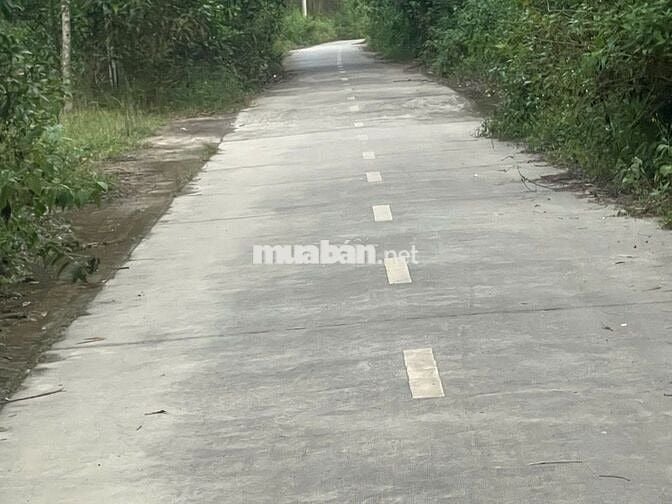 BÁN LÔ ĐẤT Ở TẠI NÔNG THÔN,DÂN CƯ ĐÔNG ĐÚC,CÁCH QLO 20 KHOẢNG 800M