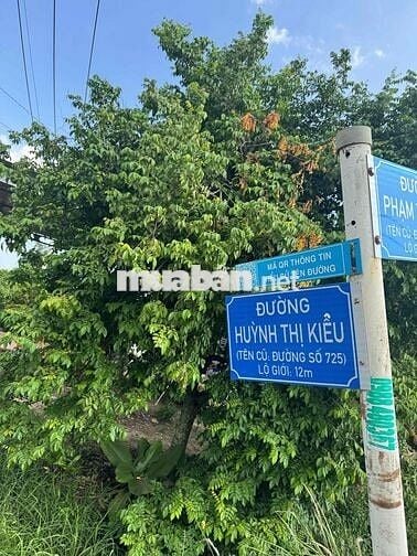 Bán đất mặt tiền Huỳnh Thị Kiểu 29 mét ngang dài 58 mét , 105 thổ cư