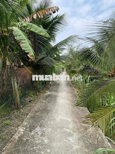 1780m2 đất Song Binh co đường đi giá bao.re.