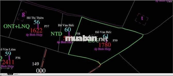 1780m2 đất Song Binh co đường đi giá bao.re.