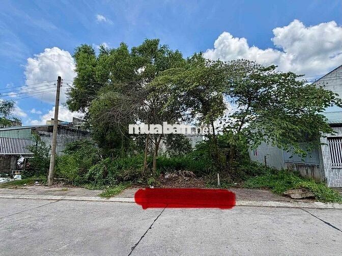 CẦN TIỀN NÊN BÁN GẤP LÔ ĐẤT VỊ TRÍ ĐẸP TẠI LONG AN Cũ nay là TÂY NINH
