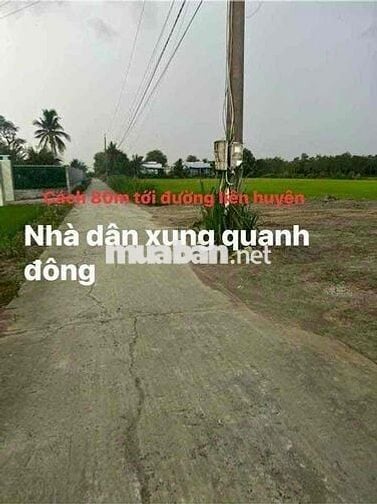 chính chủ cần bán lô đất khu phố 1 phường Xuân tỉnh đồng tháp