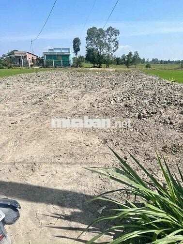 chính chủ cần bán lô đất khu phố 1 phường Xuân tỉnh đồng tháp