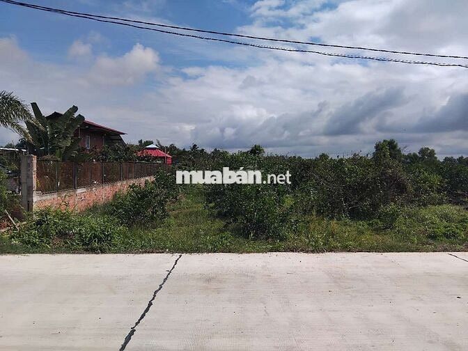 2794 m²( 2 tỷ 150 ) đất mặt tiền đường 5m