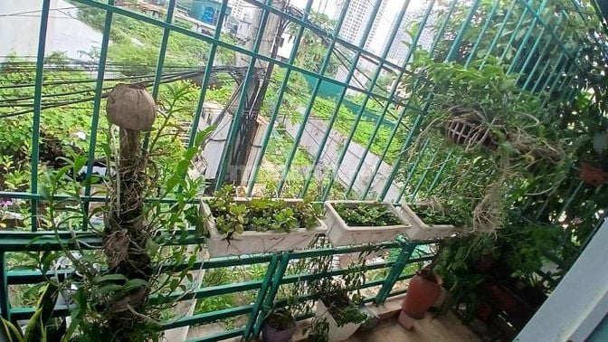 bán ngõ định công nhà 2 tầng 3pn 2wc