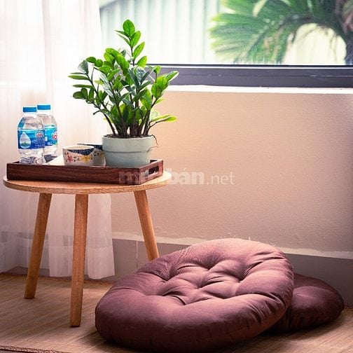 CHO THUÊ 1 TẦNG CĂN STUDIO – NGÕ VẠN KIẾP, P. CỬA NAM, 45m2