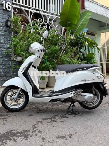 Yamaha Grande Trắng