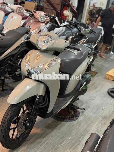 Sh mode xám xi măng siêu đẹp nợ xấu trả trc 11tr