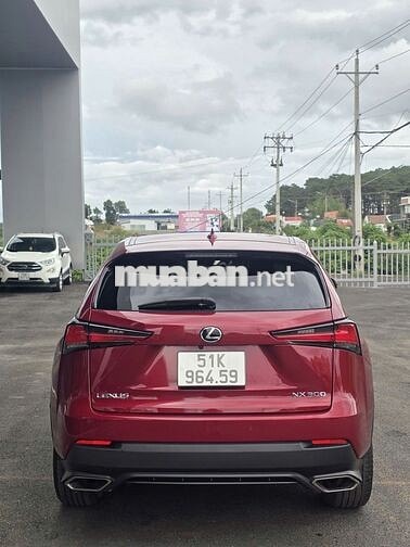 Lexus NX300 2019 Đỏ 73.000 km