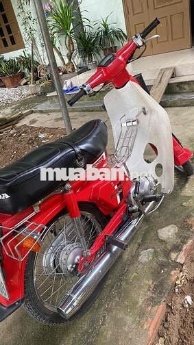 Honda DD 70 Đỏ Cổ điển