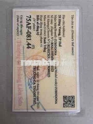 Cubindona Cub 50cc 2023 Xanh đen