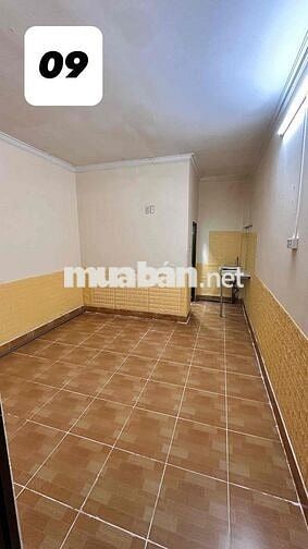🏠 TRỌ SINH VIÊN - ĐHQG TP.HCM