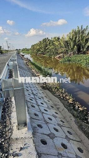 1.200m2 mặt tiền đường nhựa có điện 3fa 