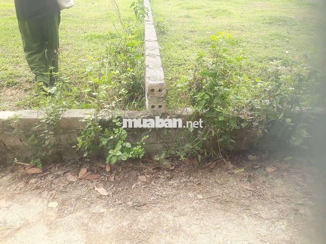 BÁN ĐẤT 2 MẶT TIỀN Ô TÔ VÀO TẬN CỬA 