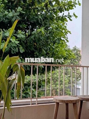 🌿 CHDV 2PN VIBE ĐÀ LẠT – KHÔNG GIAN XANH CỰC CHILL NGAY BẠCH ĐẰNG 🌿
