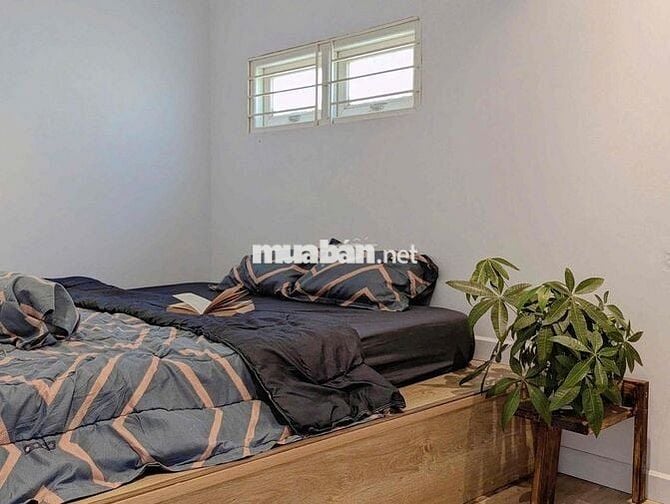 🌿 CHDV 2PN VIBE ĐÀ LẠT – KHÔNG GIAN XANH CỰC CHILL NGAY BẠCH ĐẰNG 🌿