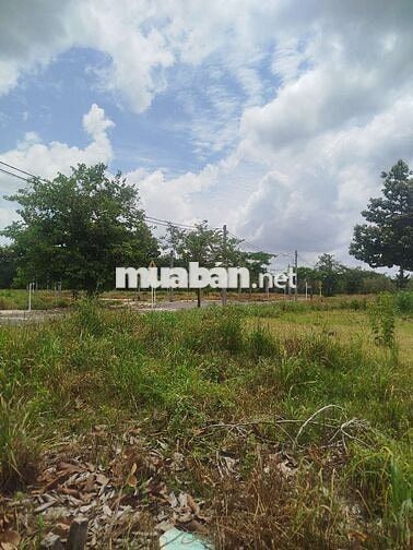 BÁN ĐẤT SỔ  HỒNG RIÊNG 150M²- 1 TỶ 850 CÒN THƯƠNG LƯỢNG