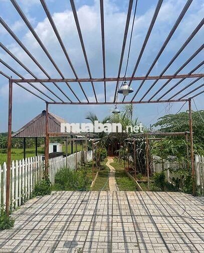 Ngang 5m x 35m – Giá chỉ từ 3,5 triệu/m² 