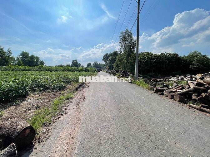 🔥 CHÍNH CHỦ BÁN GẤP ĐẤT AN VIỄN – CÓ GẦN 10.000m² ĐẤT – ĐÓN SÓNG SÂN B