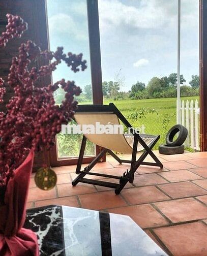 Ngang 5m x 35m – Giá chỉ từ 3,5 triệu/m² 