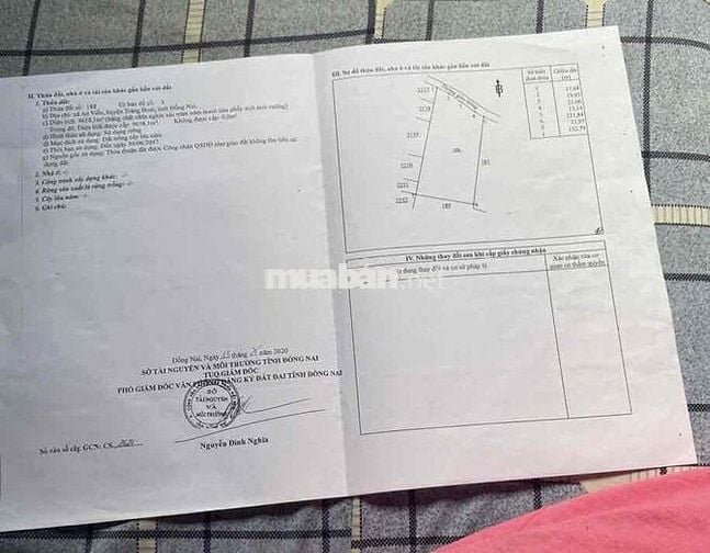🔥 CHÍNH CHỦ BÁN GẤP ĐẤT AN VIỄN – CÓ GẦN 10.000m² ĐẤT – ĐÓN SÓNG SÂN B