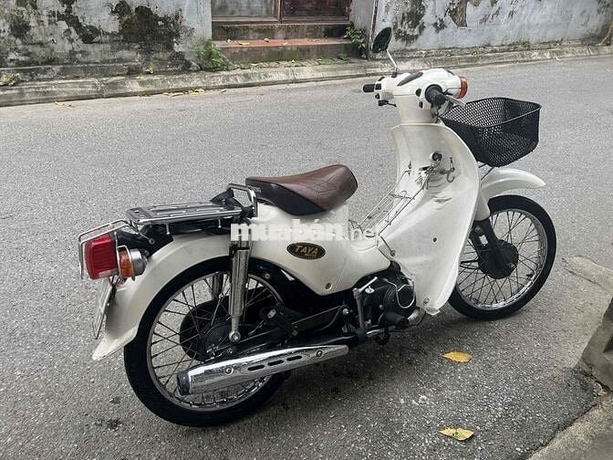 Taya Cub Trắng