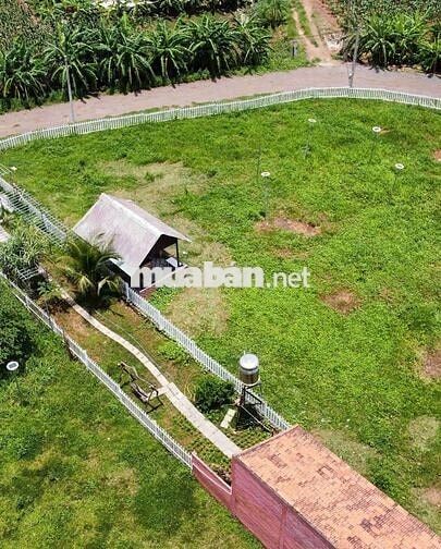 Ngang 5m x 35m – Giá chỉ từ 3,5 triệu/m² 