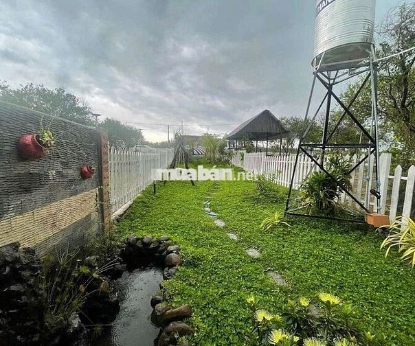Ngang 5m x 35m – Giá chỉ từ 3,5 triệu/m² 