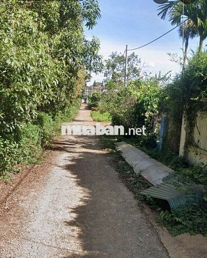 👉 KHO BÊN EM SẴN 200 NHÀ ĐẸP PLEIKU 🛣 hẻm 36 KÝ CON 