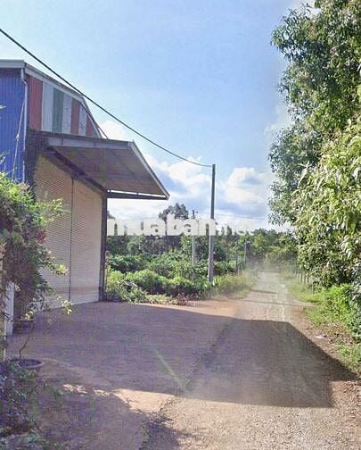 👉 KHO BÊN EM SẴN 200 NHÀ ĐẸP PLEIKU 🛣 hẻm 36 KÝ CON 